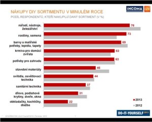DIY_incoma_2013