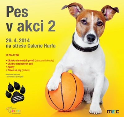 Pes v akci v Galerii Harfa